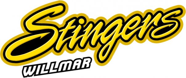 Willmar Stingers 2010-Pres Wordmark Logo iron on heat transfer